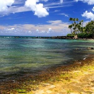 Meet your Posher, Kathie